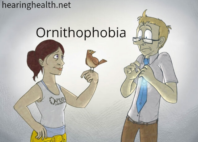 Ornithophobia สิ่งที่ต้องรู้เกี่ยวกับโรคกลัวนก