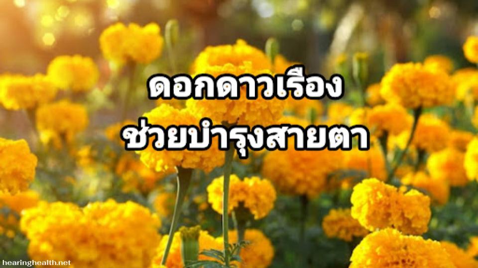 ดอกดาวเรือง คุณประโยชน์ที่โดดเด่นที่สุดของดอกดาวเรืองคือการบำรุงสายตา เนื่องจากดอกดาวเรืองมีปริมาณวิตามินเอสูงมาก